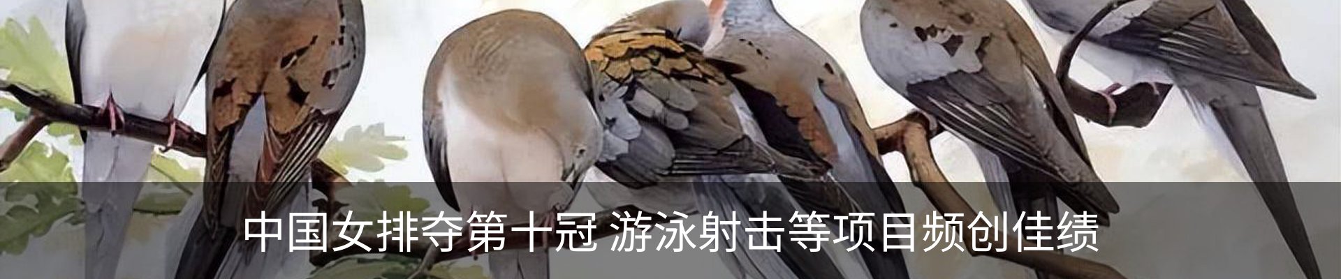新闻中心