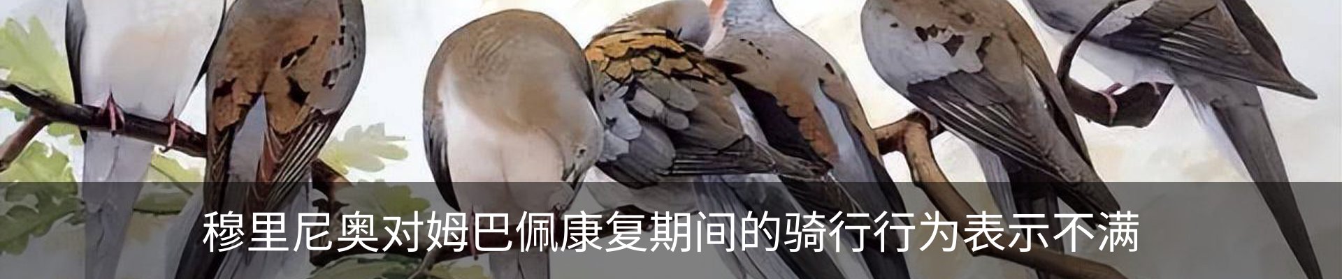 新闻中心